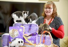 Charity drives animal support as Wet Noses receives share in pet food Wet Noses TBW Newsgroup