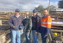 Technology streamlines livestock sale process Peter Brooker Micharl Doherty Mark Buttenshaw And Dean Munro TBW Newsgroup