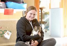 Little fighter rises from ashes Amy Gartner, Phoenix TBW Newsgroup