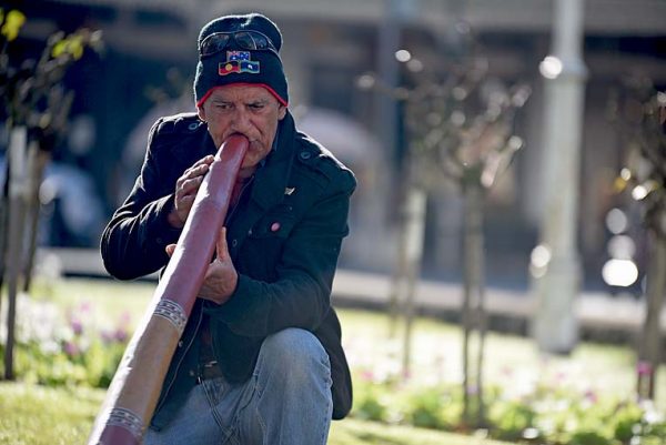 Didgeridoo Guy TBW Newsgroup