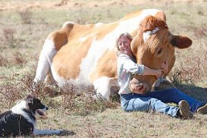 Kate Hill Big Moo  TBW Newsgroup