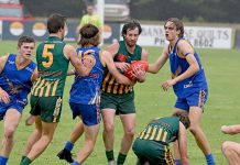 Mozzies seek win to remain in finals hunt Ridley Wrapped Up TBW Newsgroup