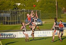 Reigning premier suffers heavy blow to new front-runner Tom Zeitz Dsc 6090 TBW Newsgroup