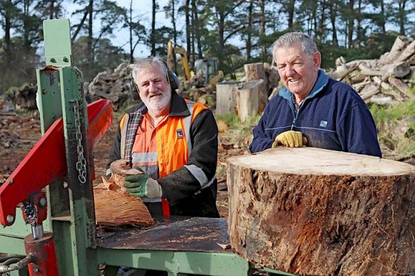 Wood Cutting Lions Malcolm Laslett And Allen Woodham  TBW Newsgroup