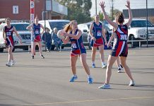 West Gambier ready to challenge reigning premier in top of the table clash A Carlee Ransom Dsc 9141 TBW Newsgroup