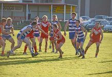 Demons secure vital win over Cats A Kaleb Bowd Dsc 0413 TBW Newsgroup