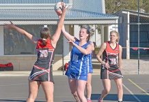 Penola makes light work of Kingston A Res Michelle Moore Crop Dsc 315720190706 TBW Newsgroup