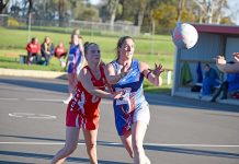 Cats thrilling victory over Demons highlight of round A Tara Bryant, Scarlett Jarrad Dsc 0232 TBW Newsgroup