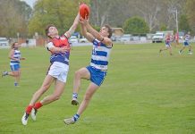 Cats and Roos seek redemption following poor round 11 display Aa Jett Attard, Madison Rogers Dsc 6953 TBW Newsgroup