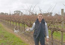 Cellar Dweller events heat up as region’s winter weather continues Jane Ellis TBW Newsgroup