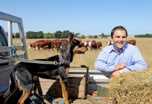 Pasin to help guide agriculture future Pasin TBW Newsgroup