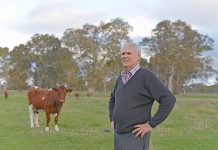 Animal rights activists on notice Rick Paltridge TBW Newsgroup