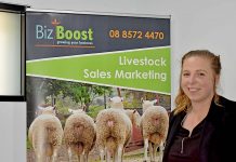 Businesses ‘switched on’ Bizboost (1) TBW Newsgroup