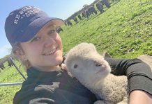 Animal rights activist targets Limestone Coast farmer Lucy Mccourt Pearce TBW Newsgroup
