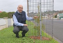 Council considers cutting tree target Sinaway Georgiou Tree Planting Program TBW Newsgroup