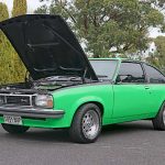 Torana Sunbird (13)