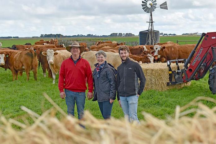 Trevor Rayson, Moira Neagle And Darcy Mullens With Cows (9)  TBW Newsgroup