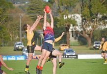 Ladder lead up for grabs A Lawry Bradley Brown Dsc 0119 TBW Newsgroup