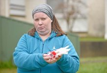 Ace in fight of her life Ace Parker Two (2) TBW Newsgroup