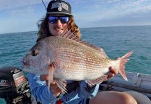 Snapper ban ‘ridiculous’ Bodhisnapperweb TBW Newsgroup