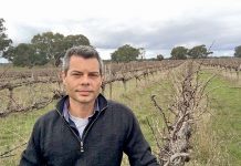 Local wine leader slams genetically modified crop ban lift Druweb TBW Newsgroup