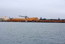 Diverted ships ease port trade Port Of Portland TBW Newsgroup