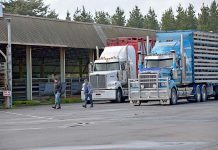 Council works on ramp fix Truck Saleyards TBW Newsgroup