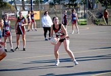 Millicent sets sights on 11th consecutive WBNA Donna Denton Dsc 5517 TBW Newsgroup