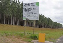 Road blocks implemented to keep state free of fruit fly Fruit Fly Bin (4) TBW Newsgroup