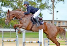Mil Lel show jumper continues tradition Kristybruhnhorsebentleypicbycherokeephotography20190407 TBW Newsgroup