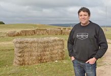 Pines Enduro ready for the green flag Mark Heemskerk Crop (1)20190913 TBW Newsgroup