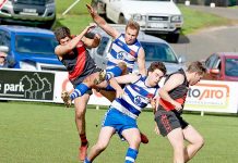 Cats deliver deadly bite to knock Bulldogs out of WBFL finals Nick Lock, Mark Kieselbach, Dylan Ayton, Hamish Mccrae20190901crop TBW Newsgroup