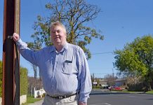 Councillor welcomes tree regulations following ‘terrible’ maintenance work Paull Jenner TBW Newsgroup