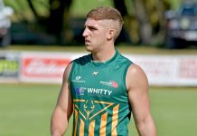 New tomcat in Vic town Renzi April 6 TBW Newsgroup