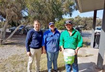 Rabbit population control ramps up Willalooka 1web TBW Newsgroup