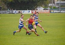 Roos bound to Western Border grand final after 25-point win over Casterton Sandford A Lawry Bradley Brown Dsc 3564 TBW Newsgroup