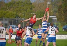 Roos and Cats vie for grand final position at dusk A Lawry Bradley Brown, Kyle Carlin Dsc 9559 TBW Newsgroup