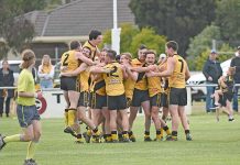 Tigers hunt down Western Border Football League title A North Celebration Back Page Dsc 6945 TBW Newsgroup