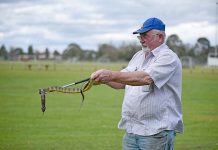 Change in season brings snakes out David Miles Blue Lake Sports Park TBW Newsgroup