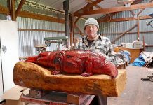 Millicent sculptor carves up red gum art creations as part of Kangaroo island trail Ant Art Work (4) TBW Newsgroup