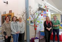 Millicent ‘money tree’ provides helpful budget tips Anti Poverty Network Tree (1) TBW Newsgroup