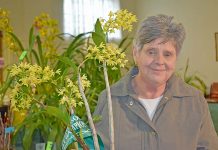 Orchid show entries bloom Barbara Barker (2) TBW Newsgroup