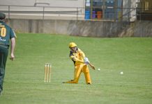 Tigers’ time to pounce Jake Schutz Dsc 3294 TBW Newsgroup