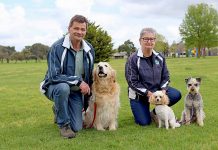 Community urged to act on pet obedience Lea And Ian Blue Lake TBW Newsgroup