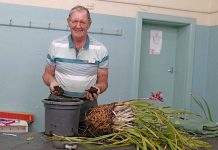 Green thumbs reveal floral tips and tricks at Mount Gambier event Repotting Guy TBW Newsgroup