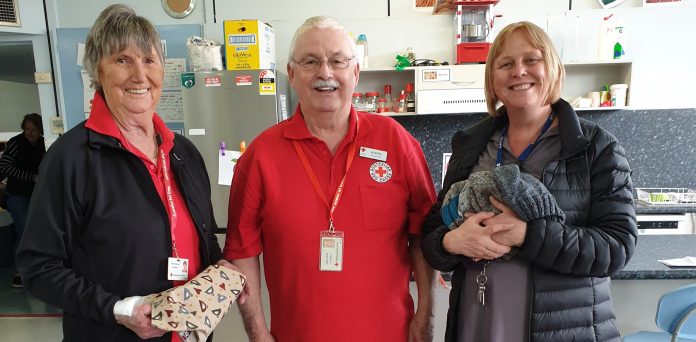 Red Cross At Nangwarry Primary School20191018 TBW Newsgroup