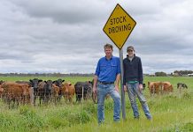 Under-resourced council denies desperate farmer’s droving bid Stuckeys TBW Newsgroup