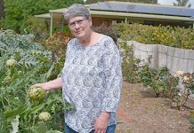 Garden blooms to raise Leukaemia Foundation funds Sandra Smith TBW Newsgroup