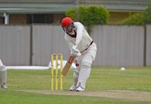 Cats and Dogs ready to fight Dion Stratford Crop TBW Newsgroup