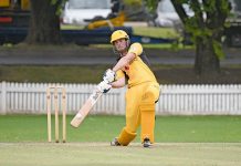 Cricketers face new ball game as Twenty20 Cup hits off Jake Schutz Dsc 836920190117crop TBW Newsgroup